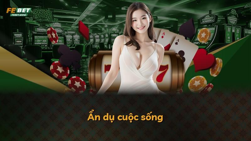 Ẩn dụ cuộc sống
