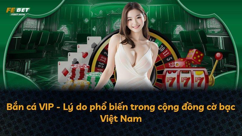 Bắn cá VIP - Lý do phổ biến trong cộng đồng cờ bạc Việt Nam