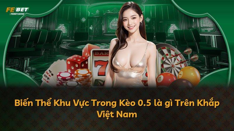 Biến Thể Khu Vực Trong Kèo 0.5 là gì Trên Khắp Việt Nam