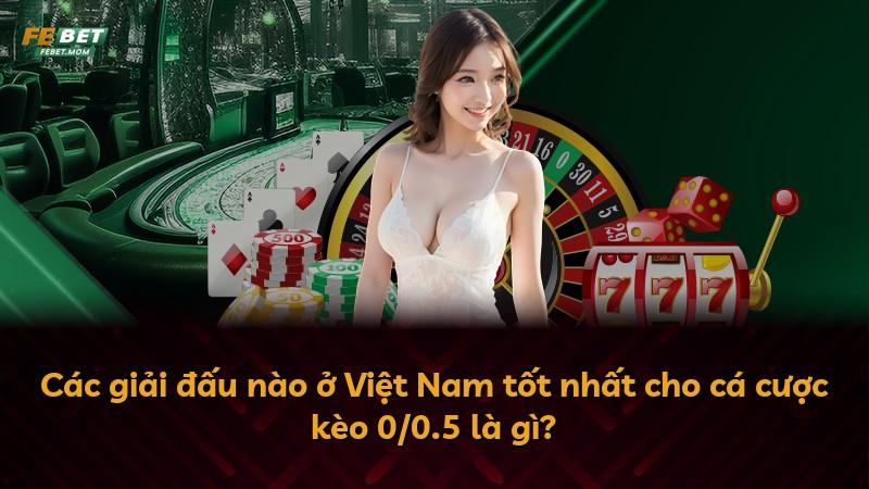 Các giải đấu nào ở Việt Nam tốt nhất cho cá cược kèo 0/0.5 là gì?
