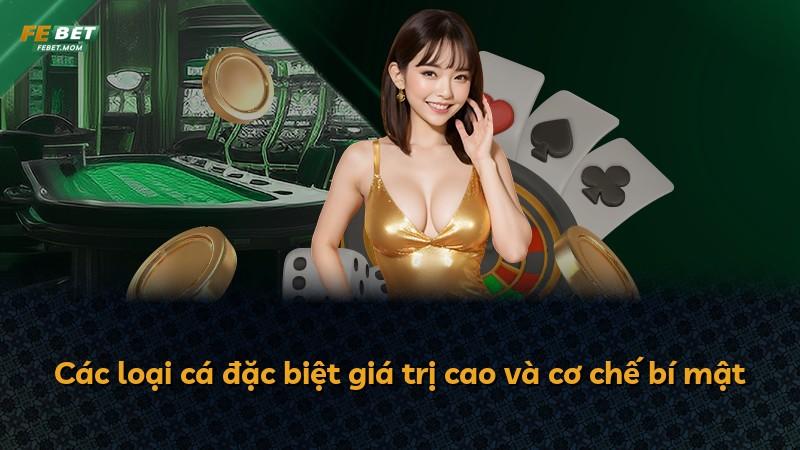 Các loại cá đặc biệt giá trị cao và cơ chế bí mật