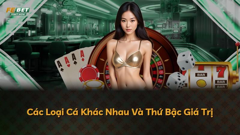 Các Loại Cá Khác Nhau Và Thứ Bậc Giá Trị