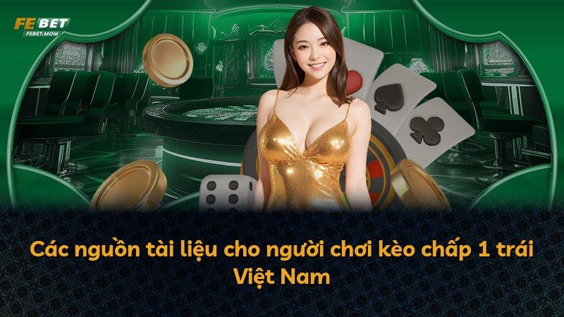 Các nguồn tài liệu cho người chơi kèo chấp 1 trái Việt Nam