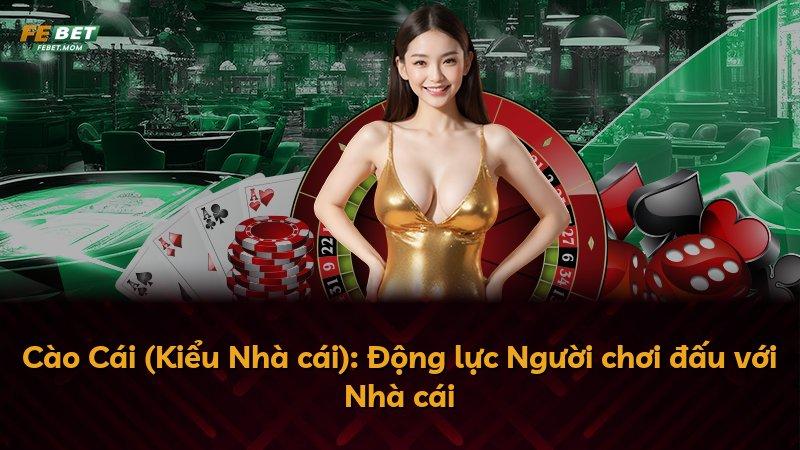 Cào Cái (Kiểu Nhà cái): Động lực Người chơi đấu với Nhà cái
