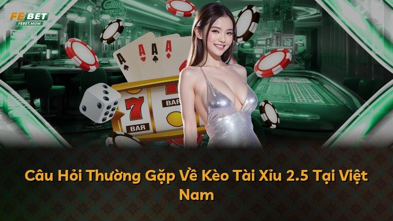 Câu Hỏi Thường Gặp Về Kèo Tài Xỉu 2.5 Tại Việt Nam