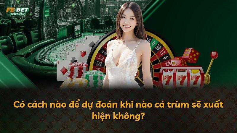 Có cách nào để dự đoán khi nào cá trùm sẽ xuất hiện không?