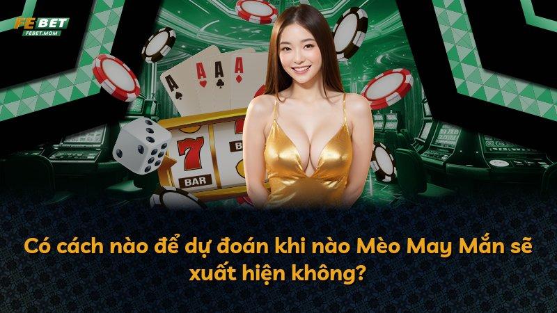 Có cách nào để dự đoán khi nào Mèo May Mắn sẽ xuất hiện không?