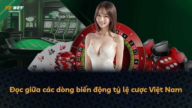 Đọc giữa các dòng biến động tỷ lệ cược Việt Nam