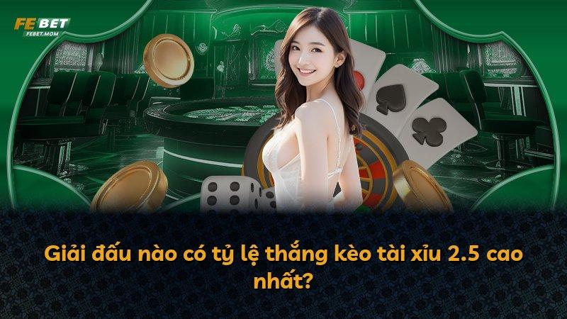 Giải đấu nào có tỷ lệ thắng kèo tài xỉu 2.5 cao nhất?