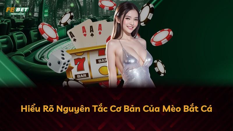 Hiểu Rõ Nguyên Tắc Cơ Bản Của Mèo Bắt Cá