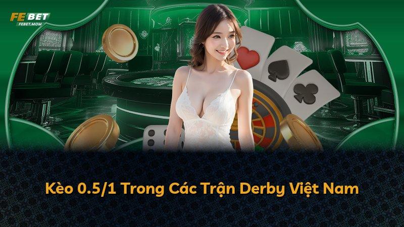 Kèo 0.5/1 Trong Các Trận Derby Việt Nam