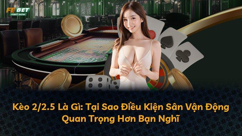 Kèo 2/2.5 Là Gì: Tại Sao Điều Kiện Sân Vận Động Quan Trọng Hơn Bạn Nghĩ