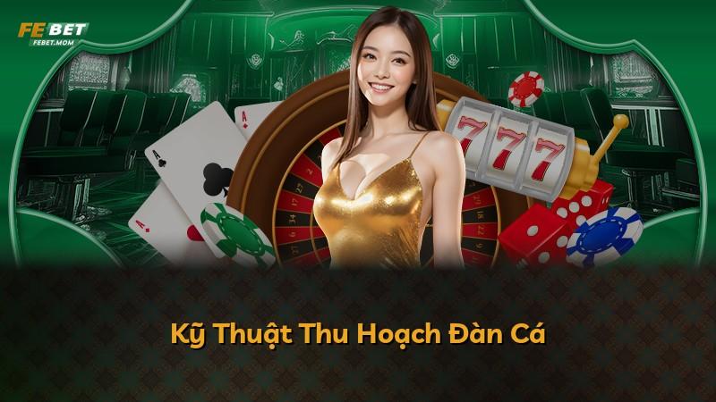 Kỹ Thuật Thu Hoạch Đàn Cá