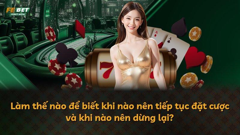 Làm thế nào để biết khi nào nên tiếp tục đặt cược và khi nào nên dừng lại?
