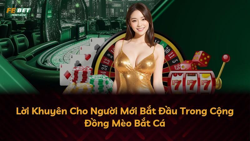 Lời Khuyên Cho Người Mới Bắt Đầu Trong Cộng Đồng Mèo Bắt Cá