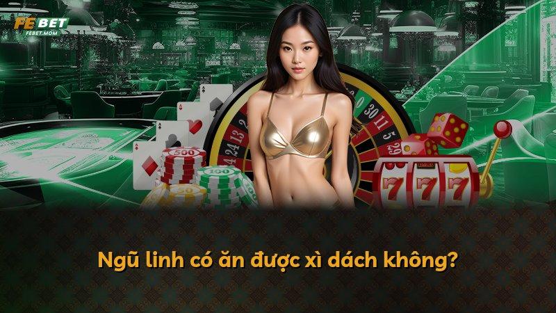 Ngũ linh có ăn được xì dách không?