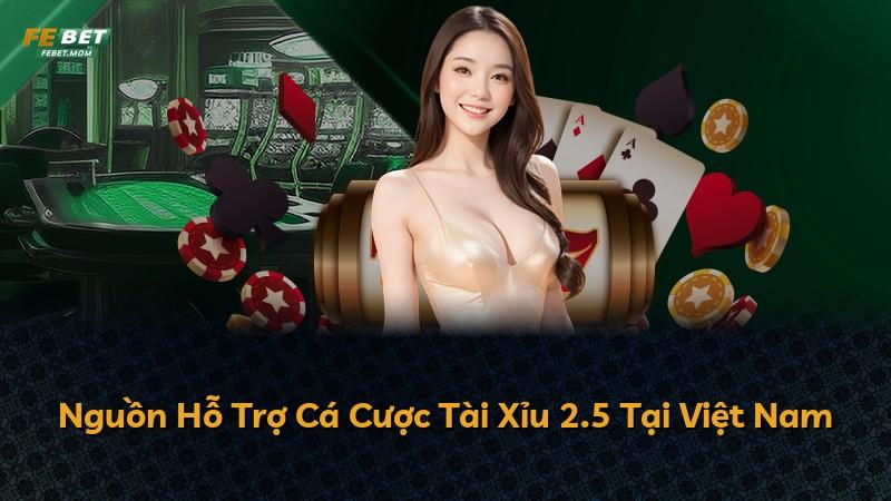Nguồn Hỗ Trợ Cá Cược Tài Xỉu 2.5 Tại Việt Nam