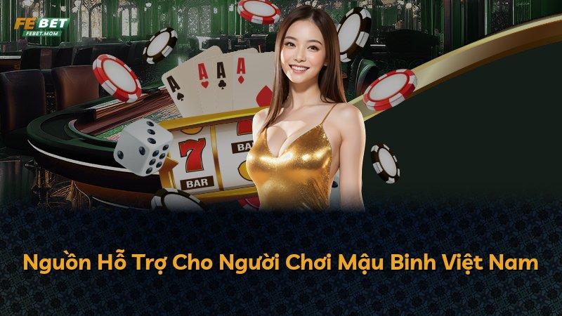 Nguồn Hỗ Trợ Cho Người Chơi Mậu Binh Việt Nam