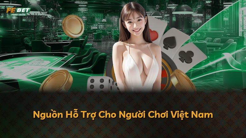 Nguồn Hỗ Trợ Cho Người Chơi Việt Nam