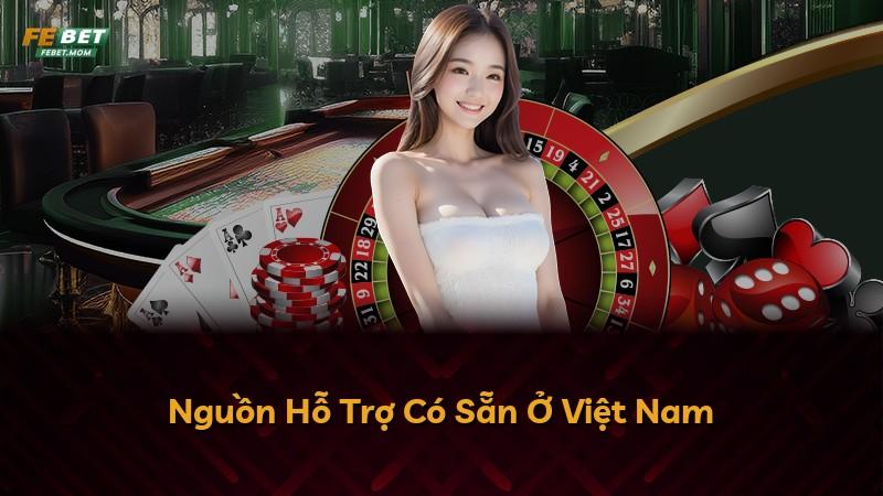 Nguồn Hỗ Trợ Có Sẵn Ở Việt Nam
