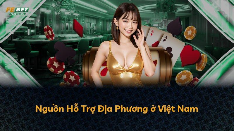 Nguồn Hỗ Trợ Địa Phương ở Việt Nam