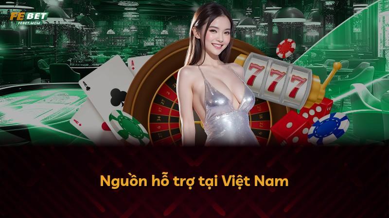 Nguồn hỗ trợ tại Việt Nam