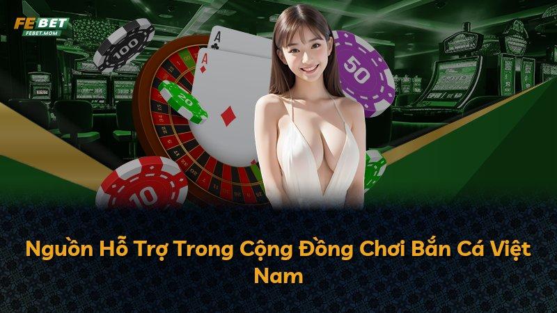 Nguồn Hỗ Trợ Trong Cộng Đồng Chơi Bắn Cá Việt Nam