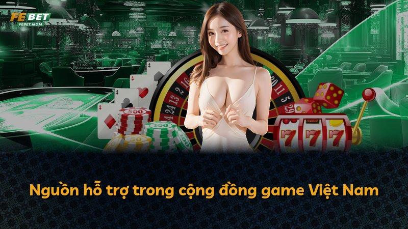 Nguồn hỗ trợ trong cộng đồng game Việt Nam