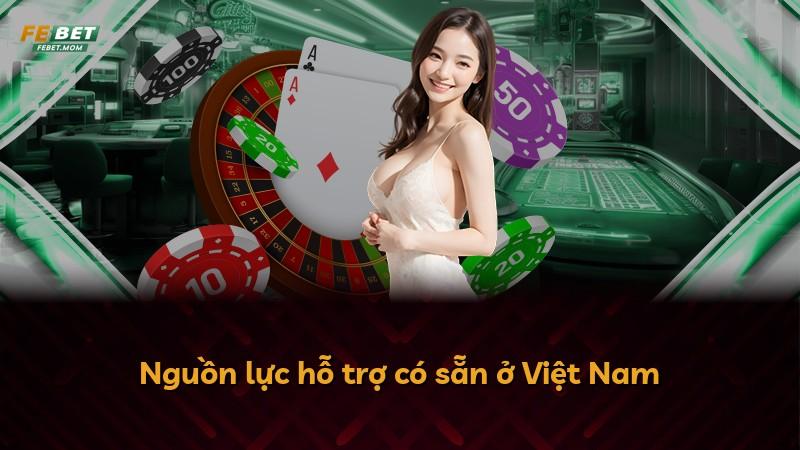 Nguồn lực hỗ trợ có sẵn ở Việt Nam