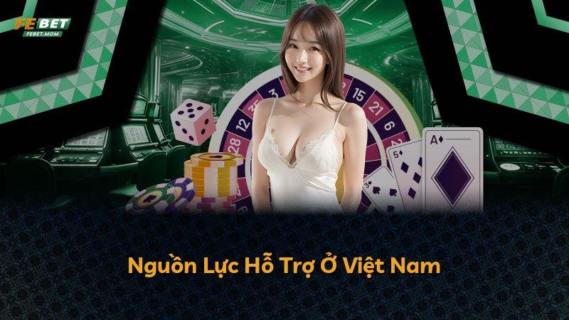 Nguồn Lực Hỗ Trợ Ở Việt Nam