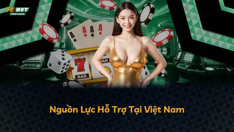 Nguồn Lực Hỗ Trợ Tại Việt Nam