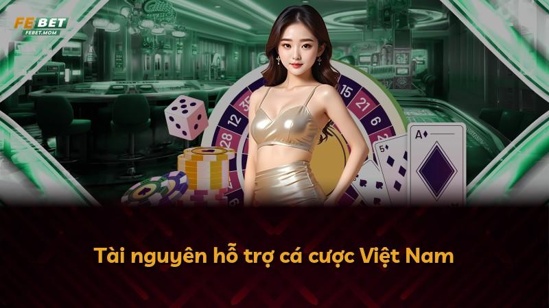 Tài nguyên hỗ trợ cá cược Việt Nam