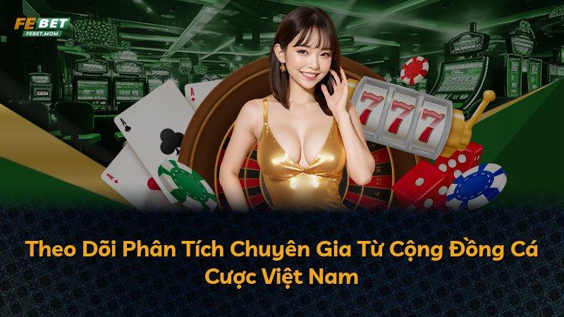 Theo Dõi Phân Tích Chuyên Gia Từ Cộng Đồng Cá Cược Việt Nam