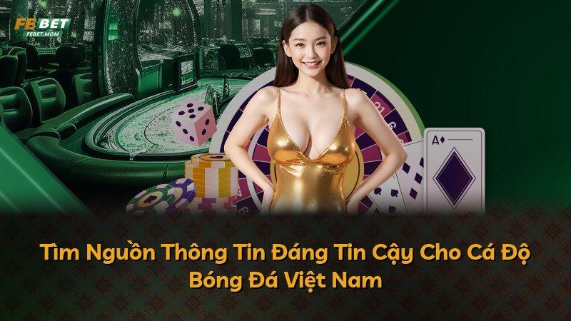 Tìm Nguồn Thông Tin Đáng Tin Cậy Cho Cá Độ Bóng Đá Việt Nam