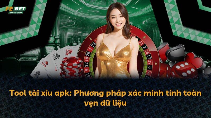 Tool tài xỉu apk: Phương pháp xác minh tính toàn vẹn dữ liệu