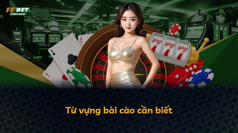 Từ vựng bài cào cần biết