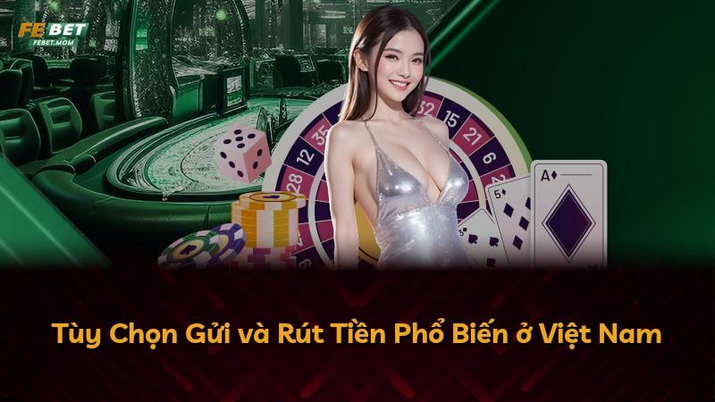 Tùy Chọn Gửi và Rút Tiền Phổ Biến ở Việt Nam
